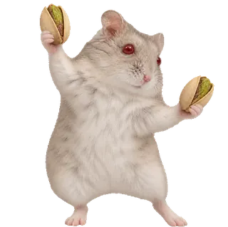 Tito, el hámster, bailando con dos pistachos